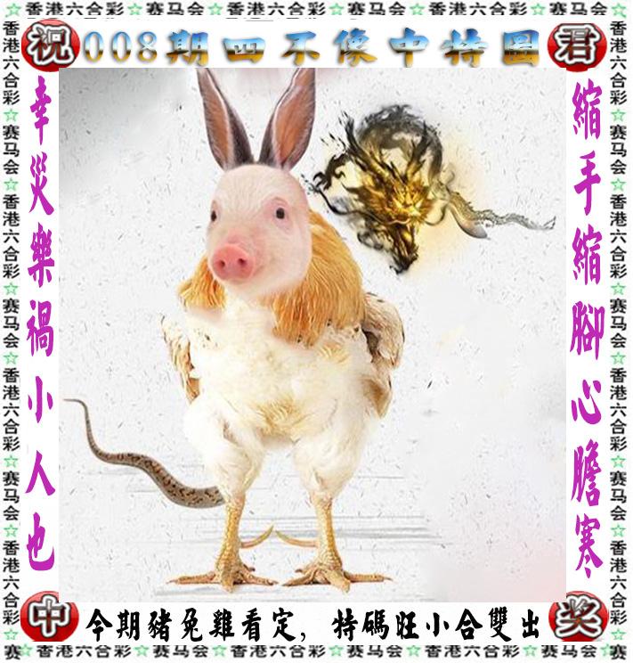 二肖二码免费中特六合联(二肖二码中特长期免费公开)